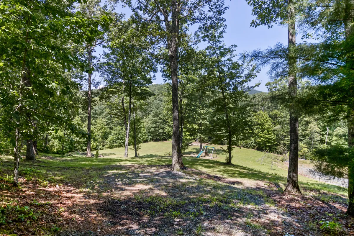 A vibrant outdoor area featuring tall trees, playground equipment, and lush green grass, suggesting ample space for children to play, families to picnic, and opportunities for nature walks.