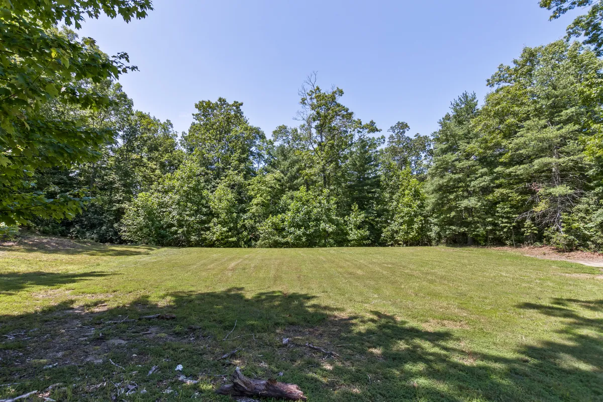 This image features a spacious open grassy area bordered by lush green trees, creating an inviting outdoor space perfect for playing fetch or simply relaxing with pets. The wide expanse and natural surroundings evoke the freedom and playfulness that guests with dogs would seek.